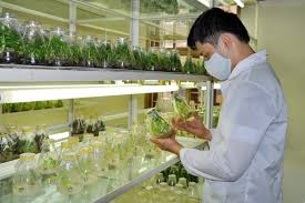 <div style="color: #ffcc00; font-size: 18px; margin-bottom: 2px;">★★★★★</div>Nguyễn Minh Tuấn