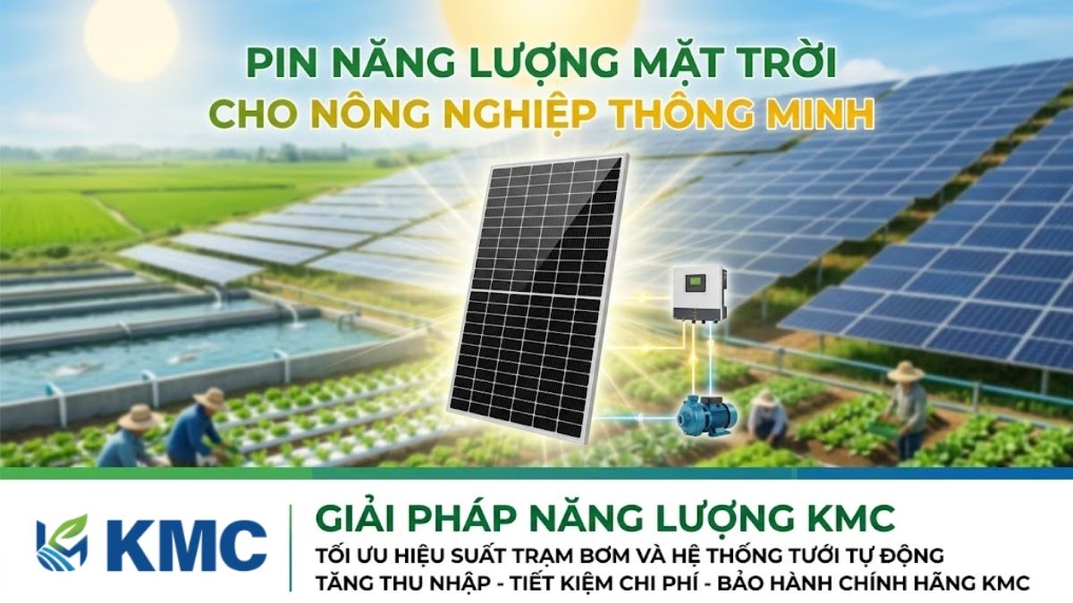 tấm pin năng lượng mặt trời Jinko 615W
