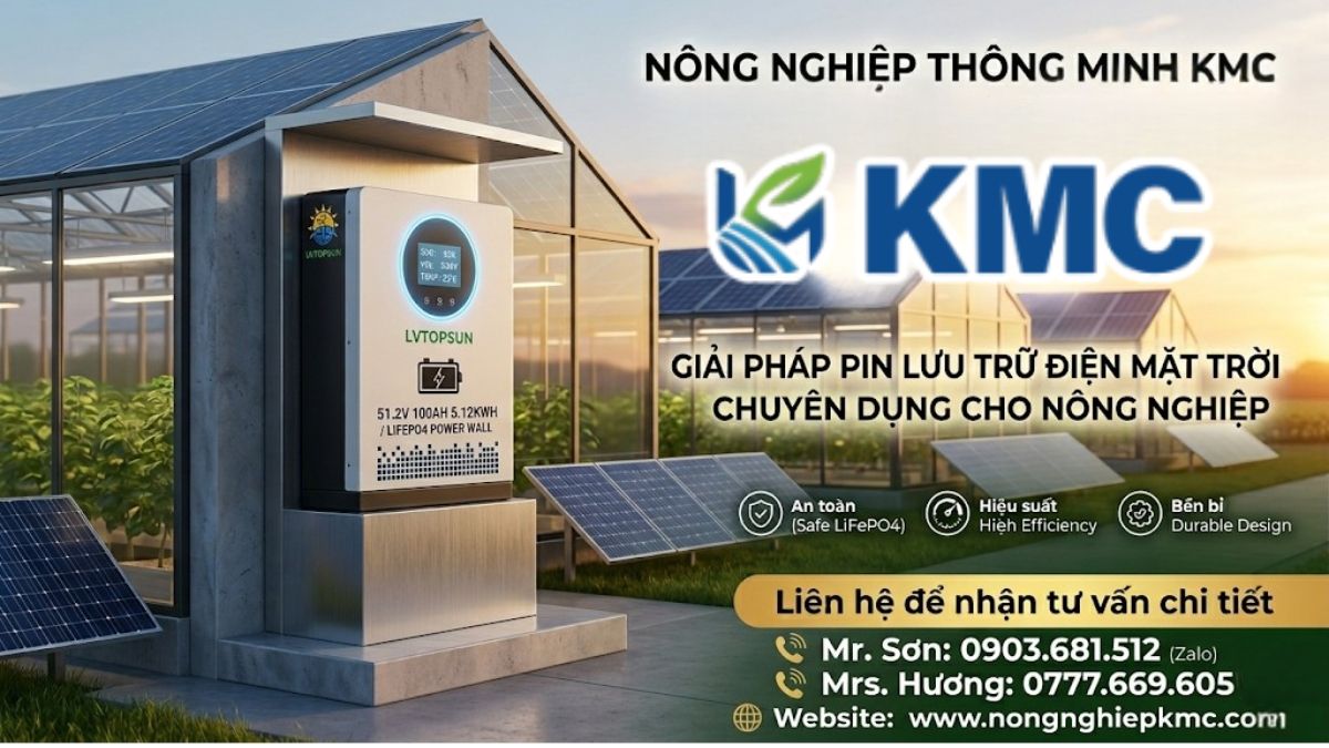 đơn vị cung cấp pin lưu trữ điện mặt trời lithium LVTOPSUN 5.12Kwh