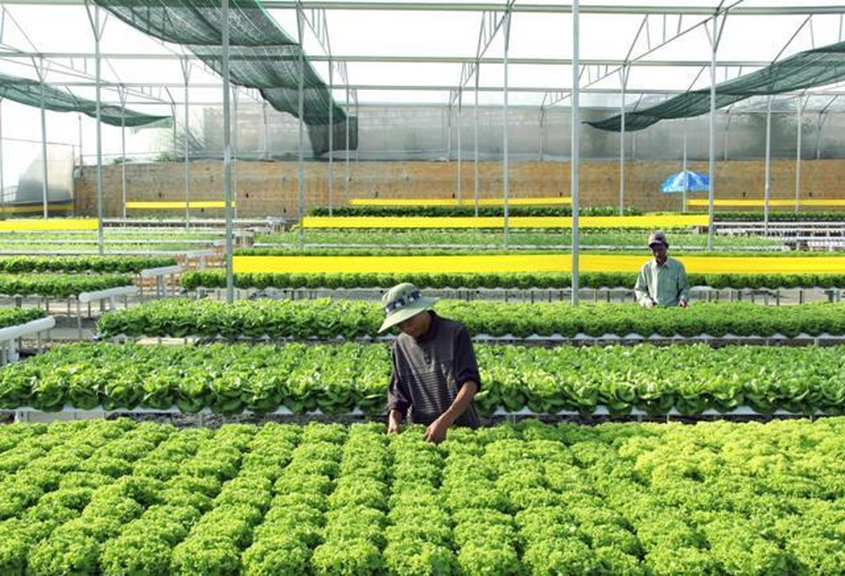 Hệ thống nông nghiệp thông minh hiện đại