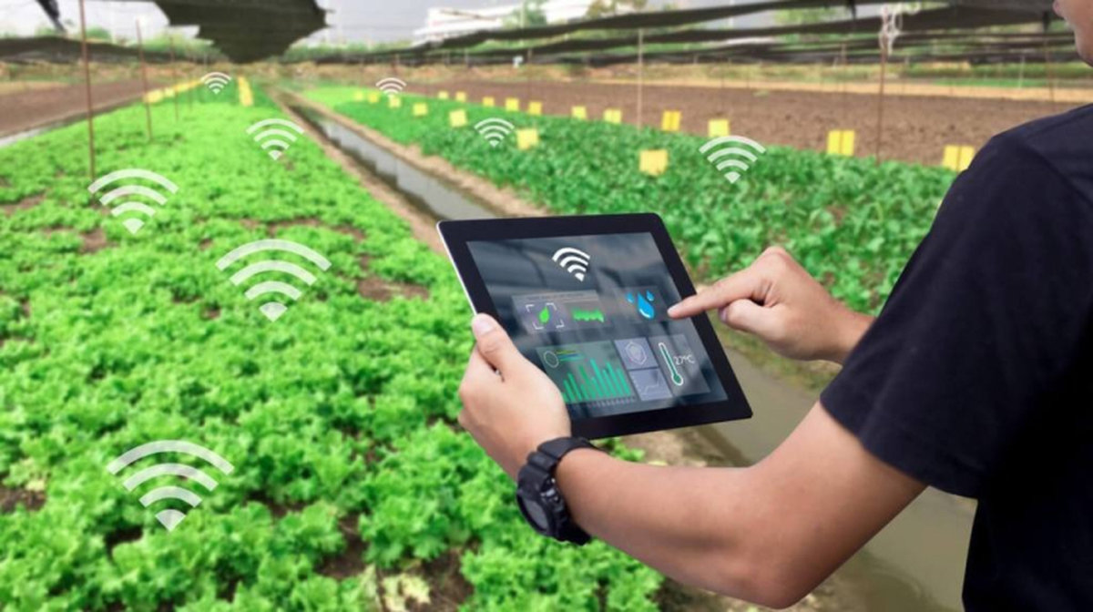 Hệ thống IoT quản lý trang trại thông minh qua thiết bị điều khiển từ xa