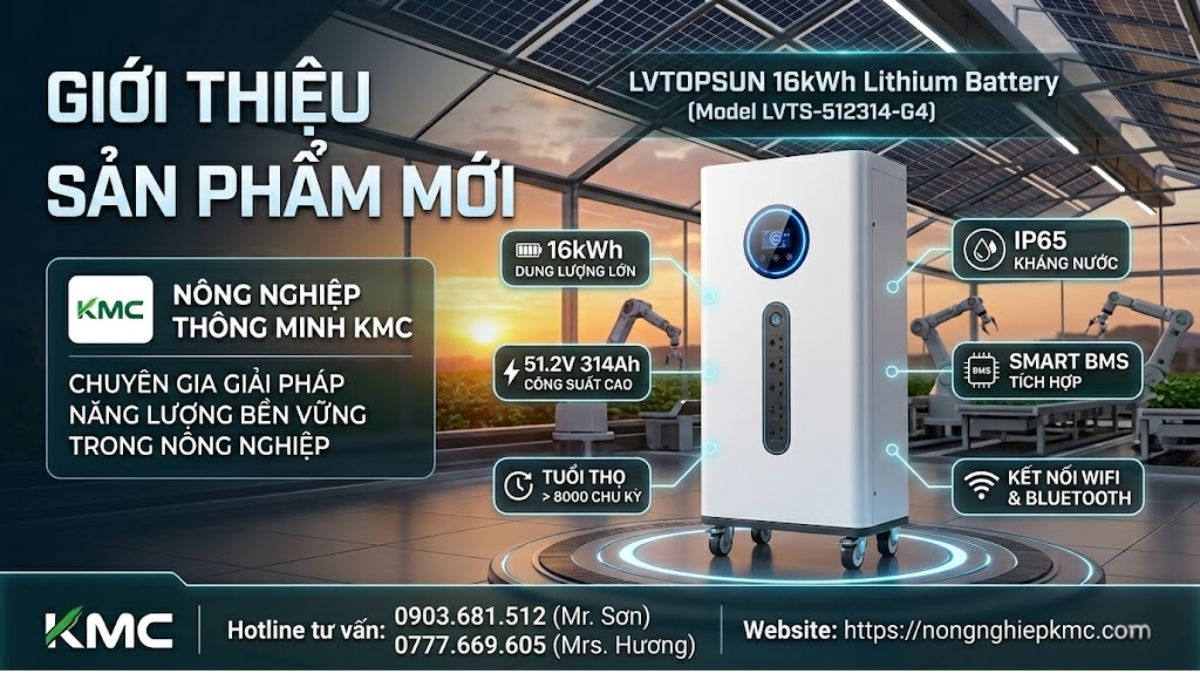 Tư vấn PIN lưu trữ điện mặt trời lithium LVTOPSUN 16KW 