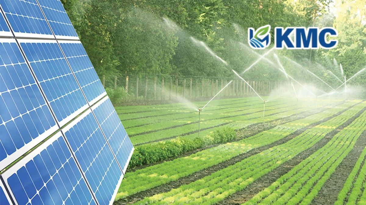 Mua Tấm pin năng lượng mặt trời Jinko 620W ở TPHCM