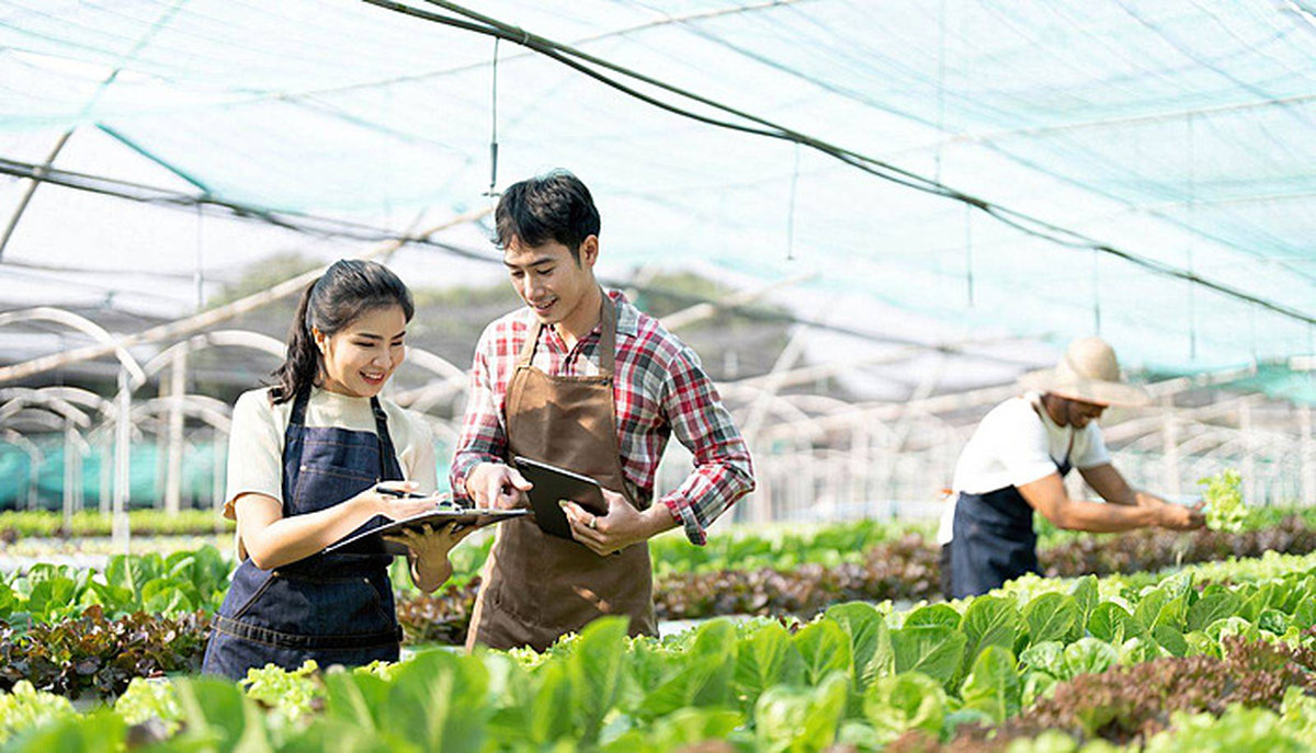 Nông nghiệp thông minh tại Việt Nam