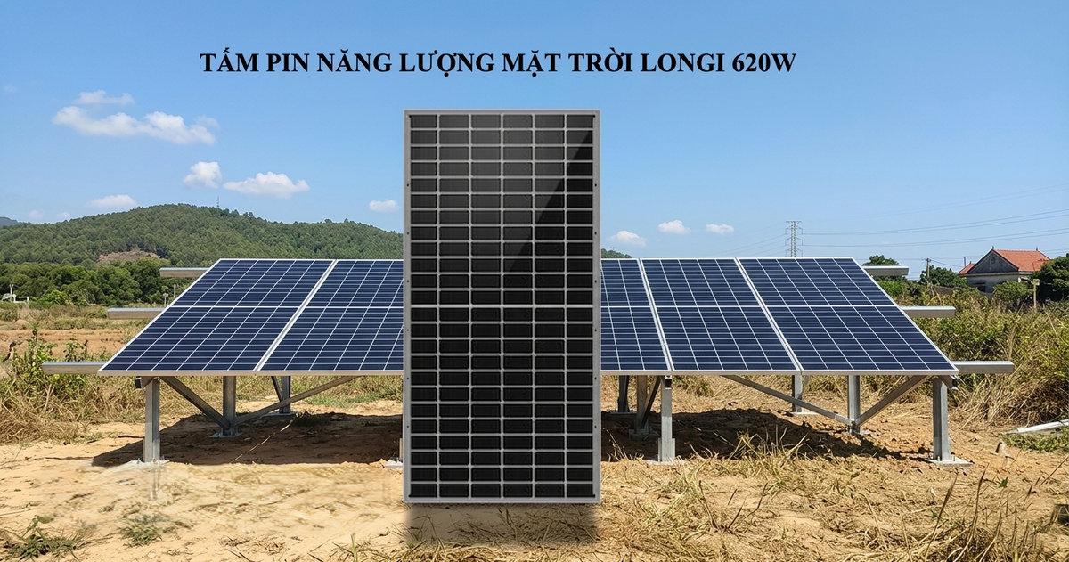 Tấm pin năng lượng mặt trời Longi 620W giá rẻ