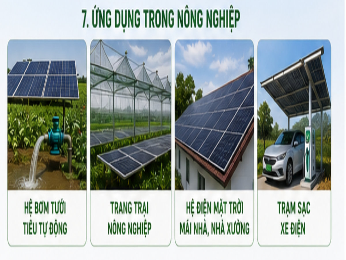Tấm pin năng lượng mặt trời TLC 625W bền vững